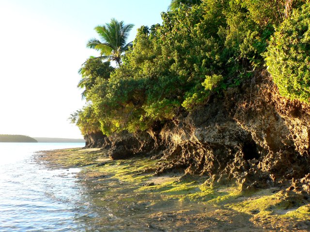 121- La cote ouest de Leke Leka a maree basse 